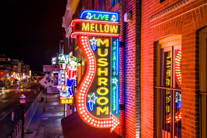 Mellow Mushroom, photo 3