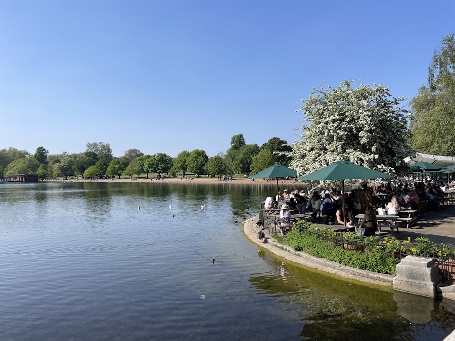 Serpentine Bar & Kitchen, photo 3